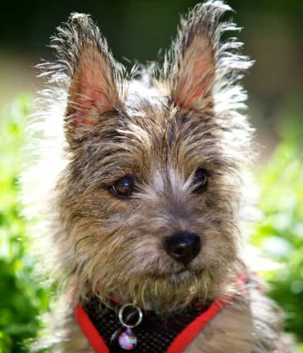 write funnier jokes greg dean comedy